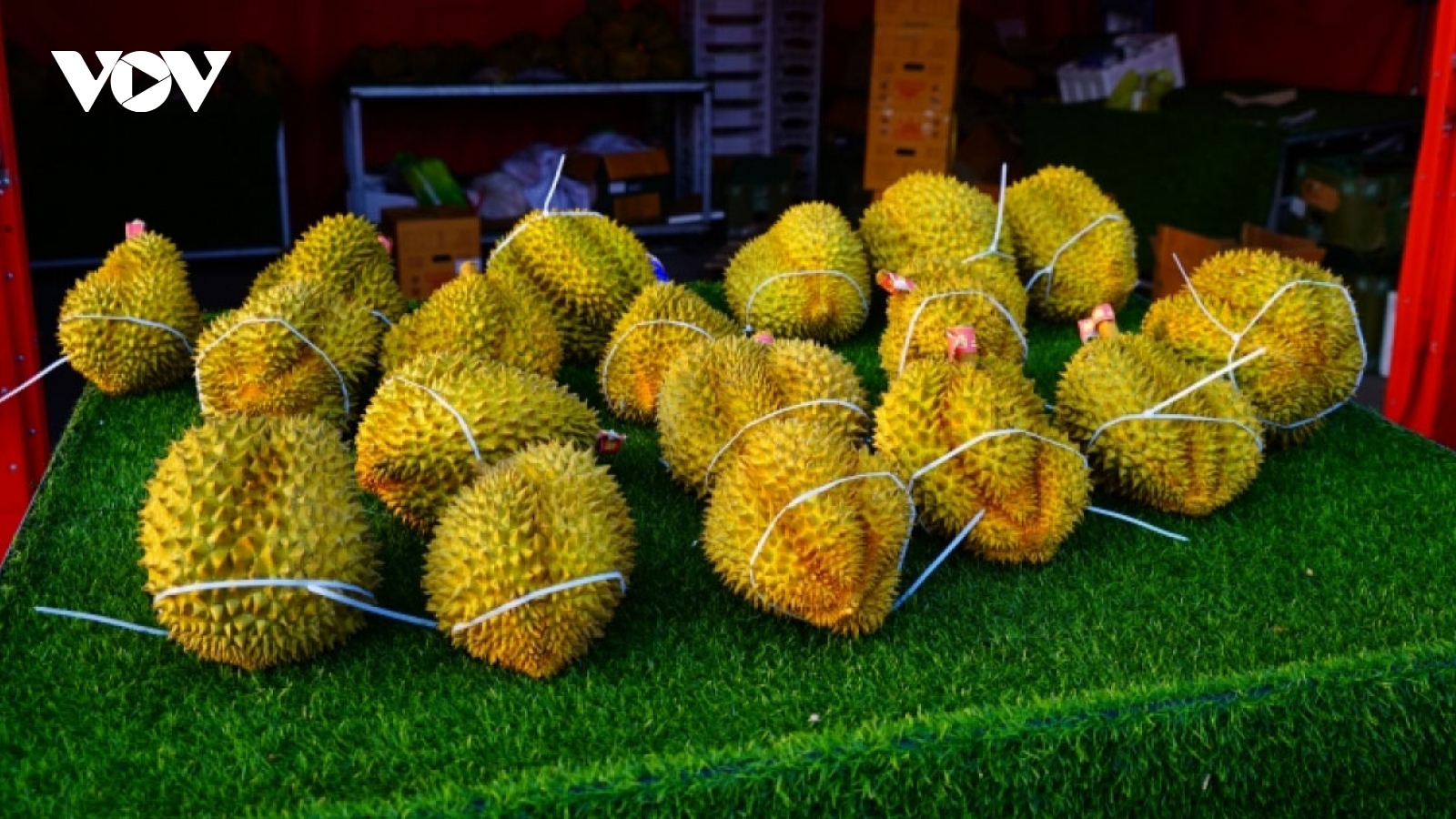 Vietnam durian and fruit festival opens in Tianjin